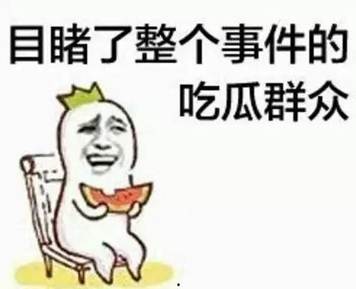 群众光荣躺枪吃瓜视频,群众视角下的网络热点事件