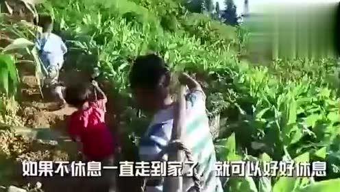 鹿泉女婿吃瓜视频