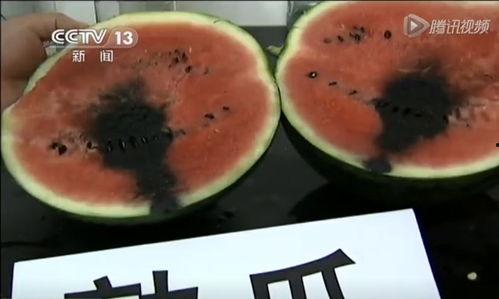 曲靖吃瓜群众视频曝光,揭秘背后惊人真相