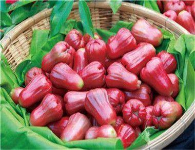 吃瓜视频莲雾,吃瓜视频中的甜蜜诱惑