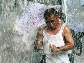 大暴雨吃瓜视频,揭秘大暴雨下的吃瓜奇观