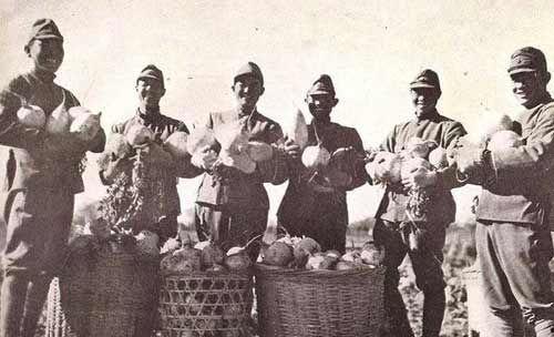 鬼子进村吃瓜视频播放,一场意外引发的乡村狂欢