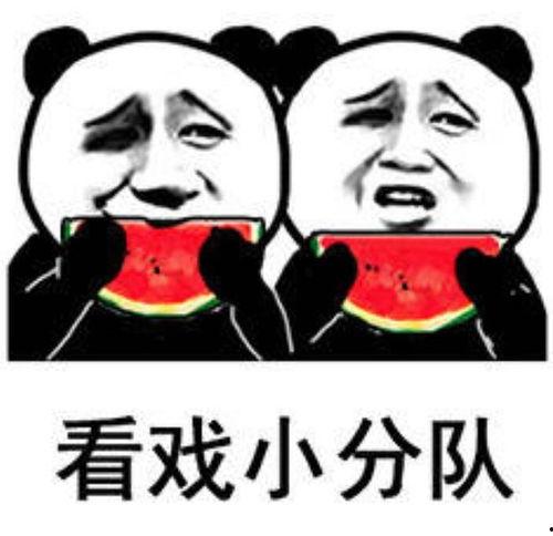 吃瓜熊被打视频大全,一场网络暴力引发的争议