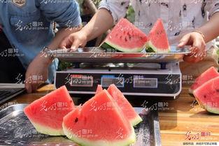 山东结婚吃瓜视频大全最新,一场场热闹非凡的婚庆盛宴