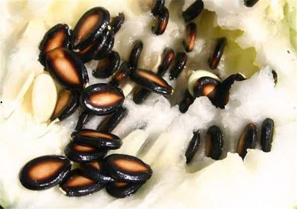 用手砸开籽瓜可以吃吗视频,美味尽享——轻松解锁籽瓜食用新方法