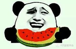 吃瓜群众周大爷视频大全