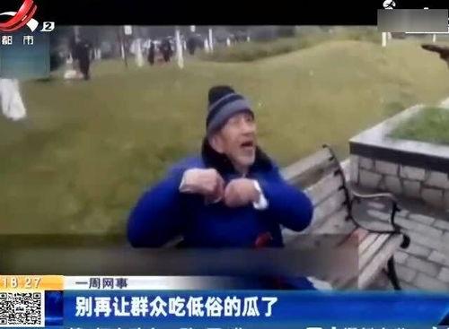 看吃瓜视频低俗吗为什么,低俗与否，价值观的较量