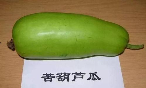 四岁吃葫芦瓜好吗图片视频,健康美味新体验