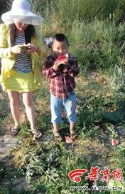 延安小楠楠吃瓜事件视频,一场网络热议的真相揭秘